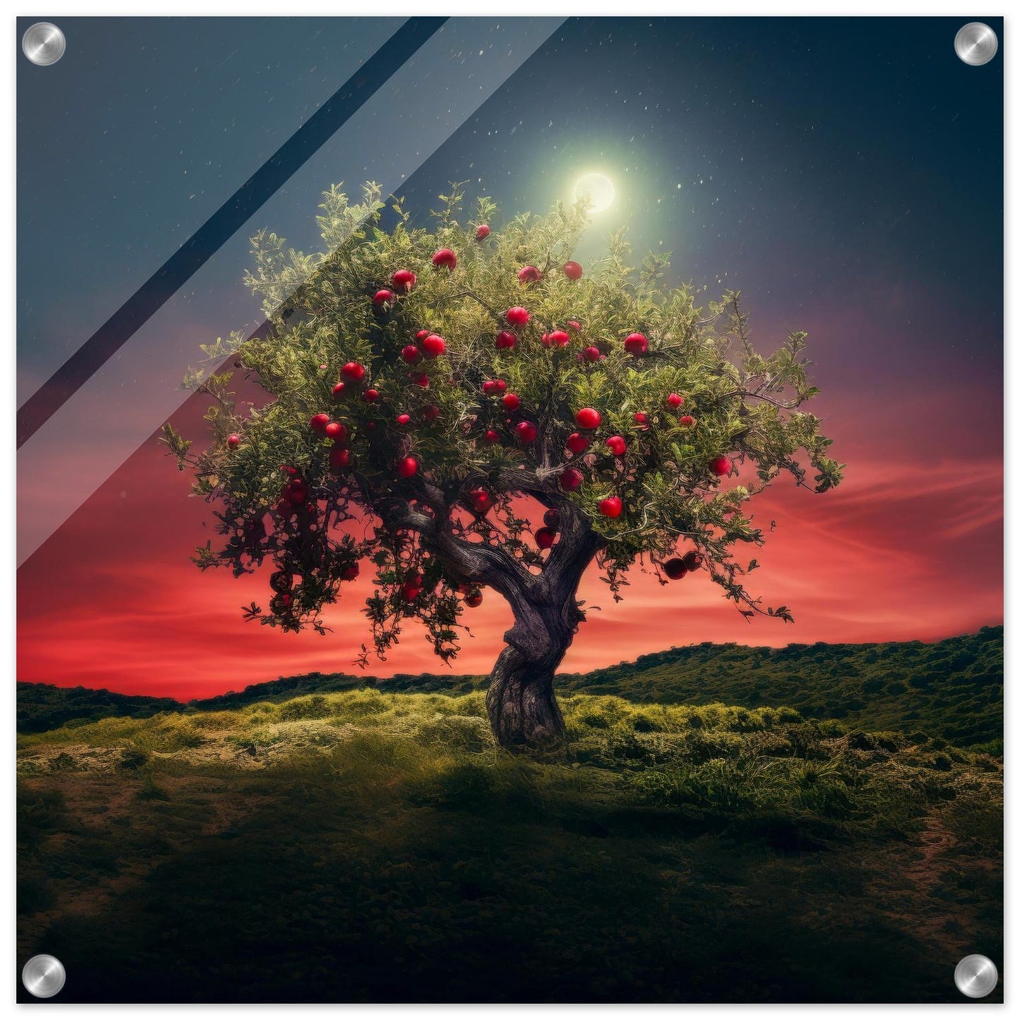 7fdf1db6-63e8-401d-8f89-6481e2b2291c